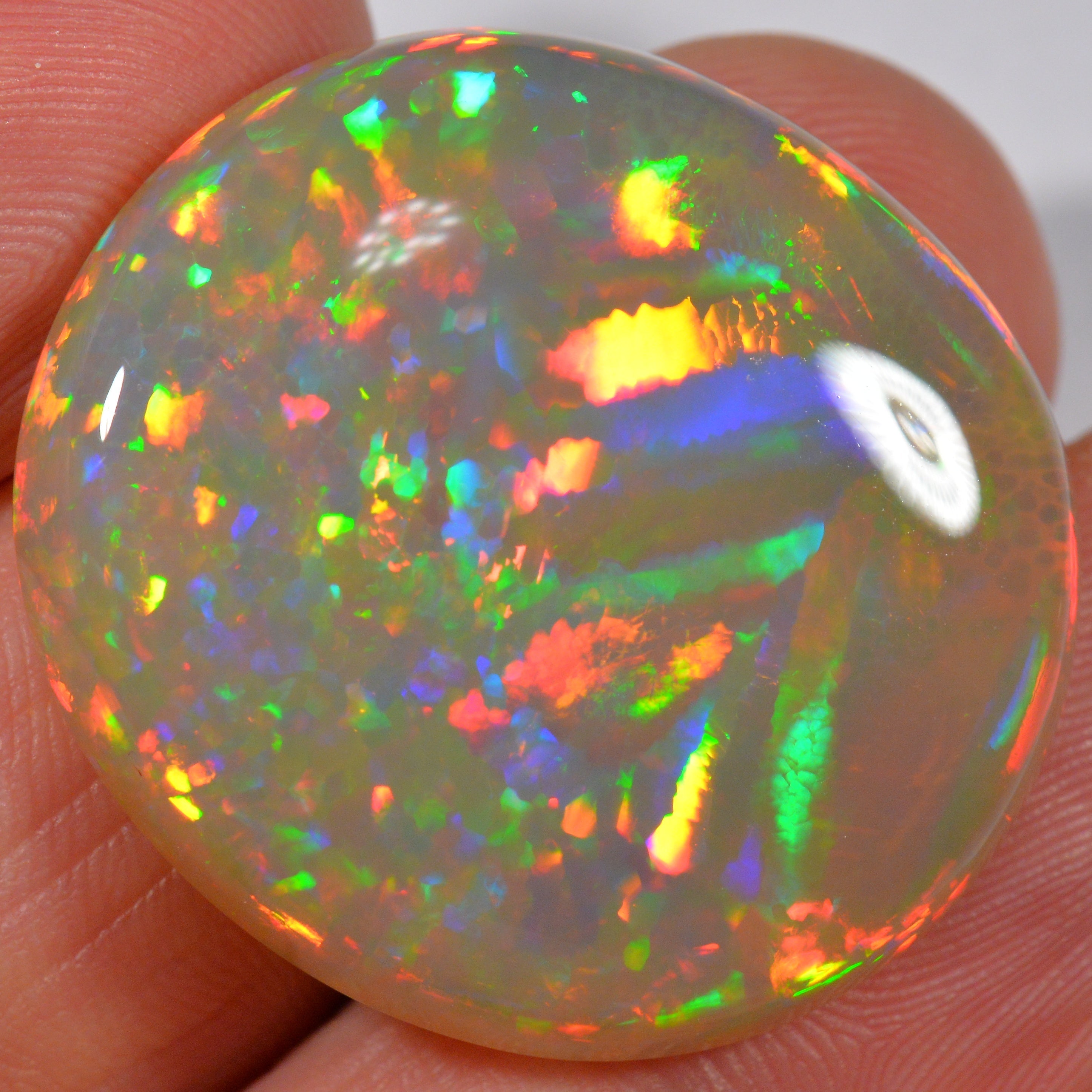 35.8 Karat - Wunderschöner Grosser Dunkler Welo Opal - DeinOpal
