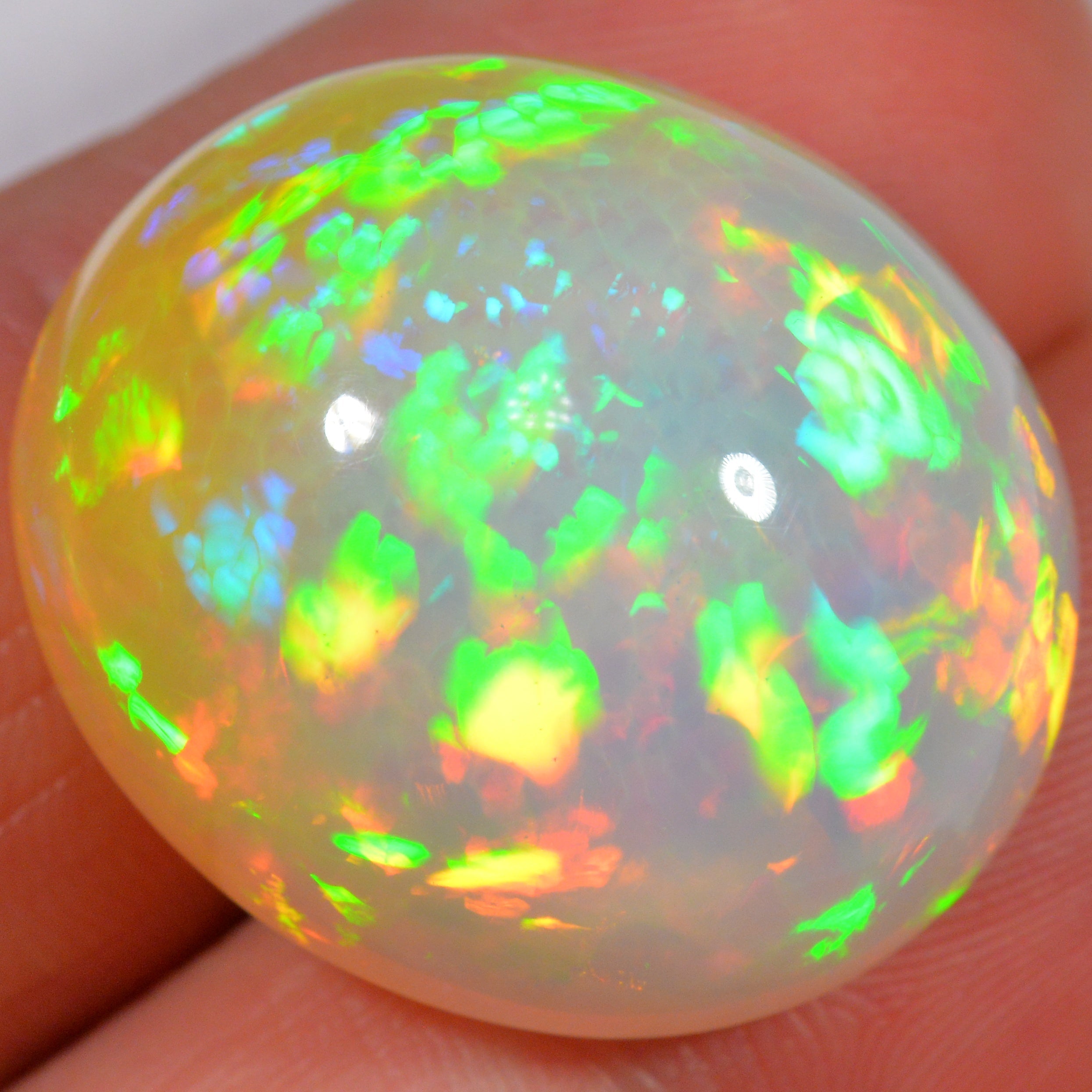 39.5 Karat - Sehr schöner äthiopischer Welo Opal - DeinOpal
