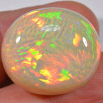 39.9 Karat - Riesiger Äthiopischer Welo Opal mit Fishscale Pattern - DeinOpal