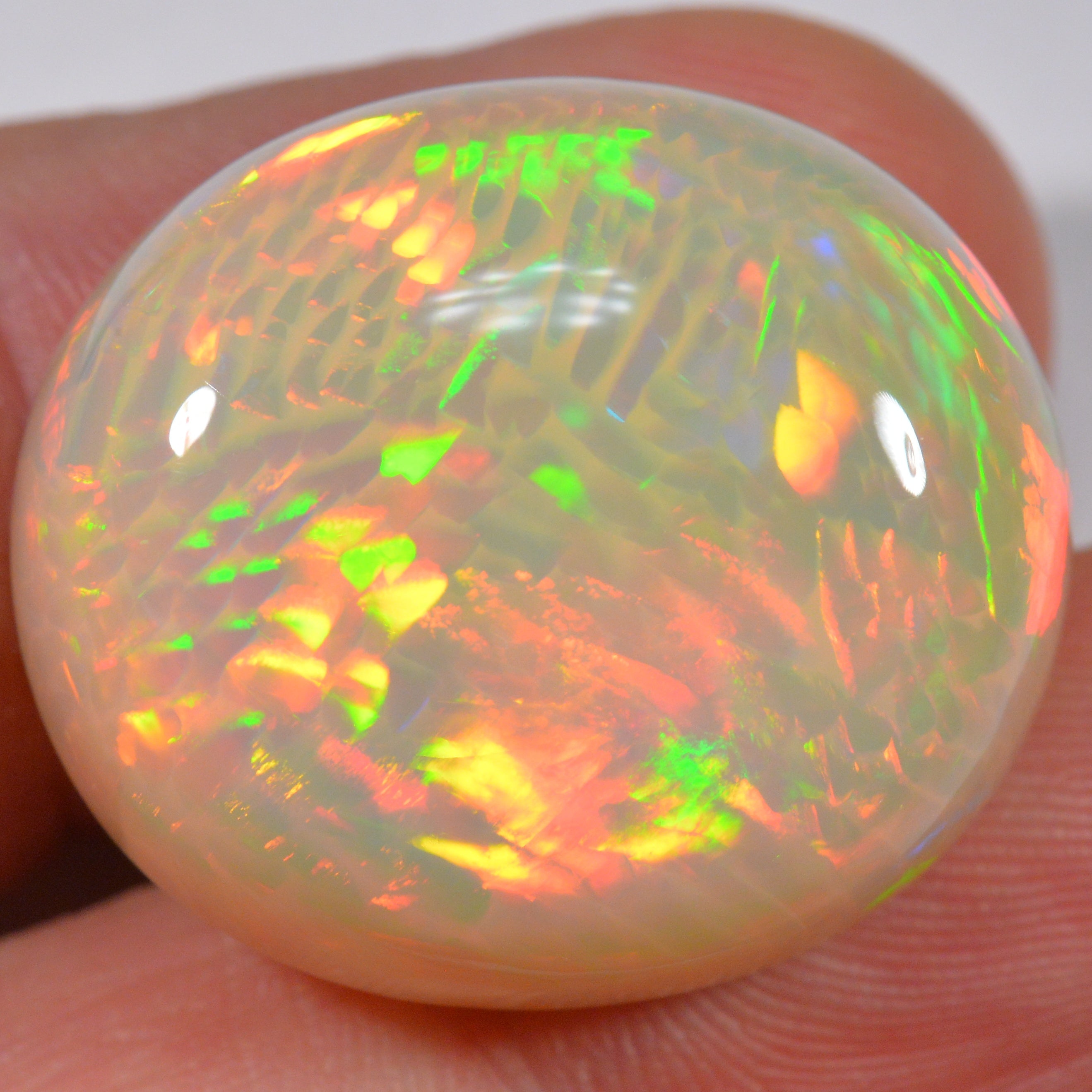 39.9 Karat - Riesiger Äthiopischer Welo Opal mit Fishscale Pattern - DeinOpal