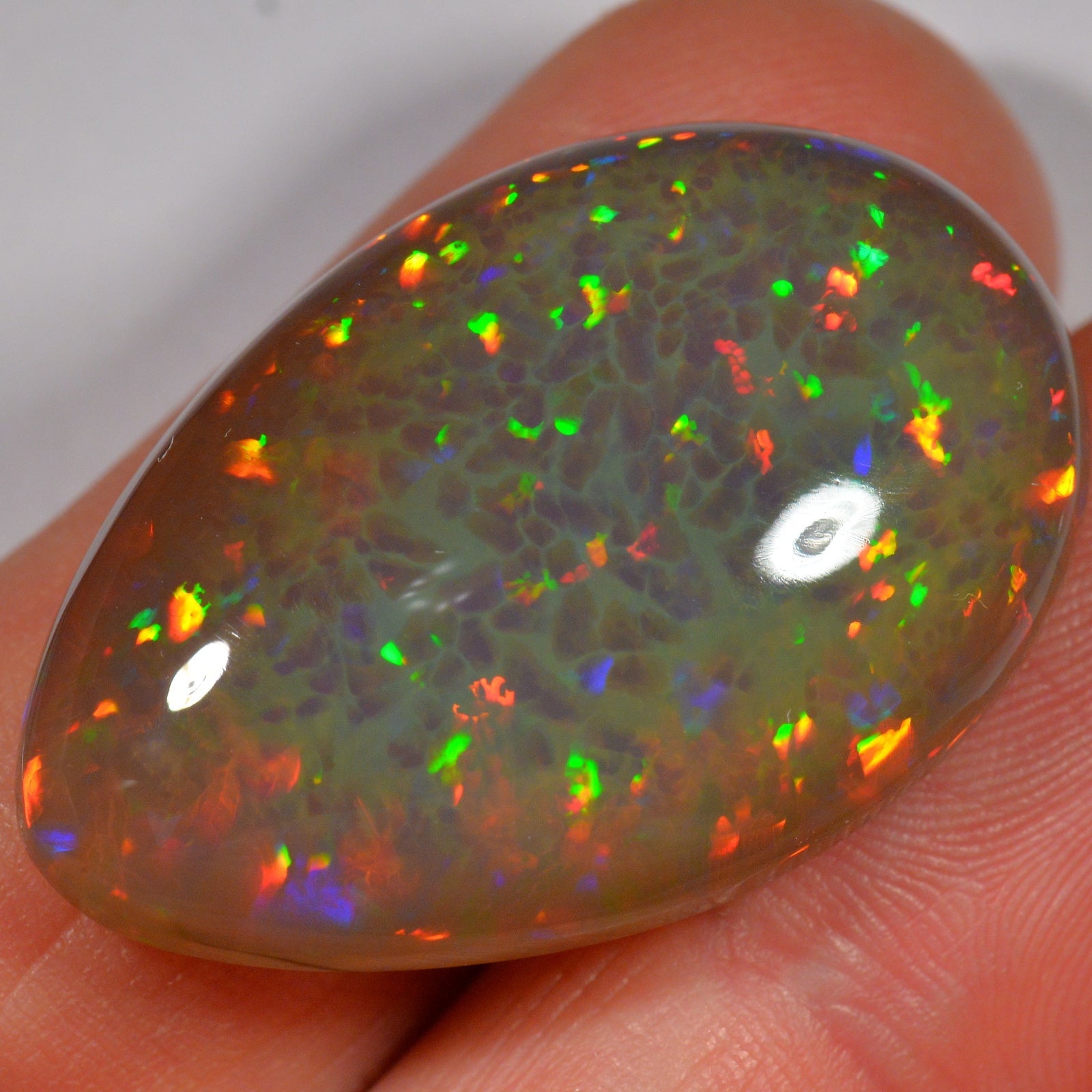 41.6 Karat - Äthiopischer Welo Opal - DeinOpal