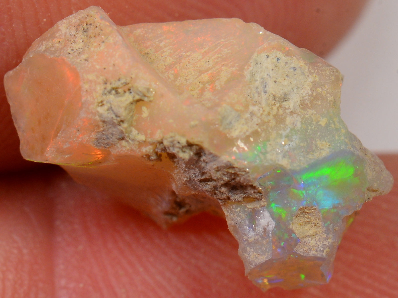 5 Karat - Roher Äthiopischer Welo Opal – natürlicher äthiopischer Welo Opal