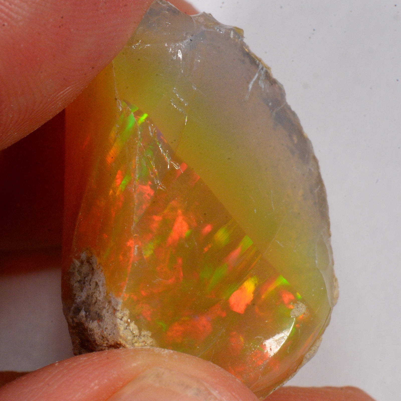 50 Karat - Roher Äthiopischer Welo Opal - DeinOpal