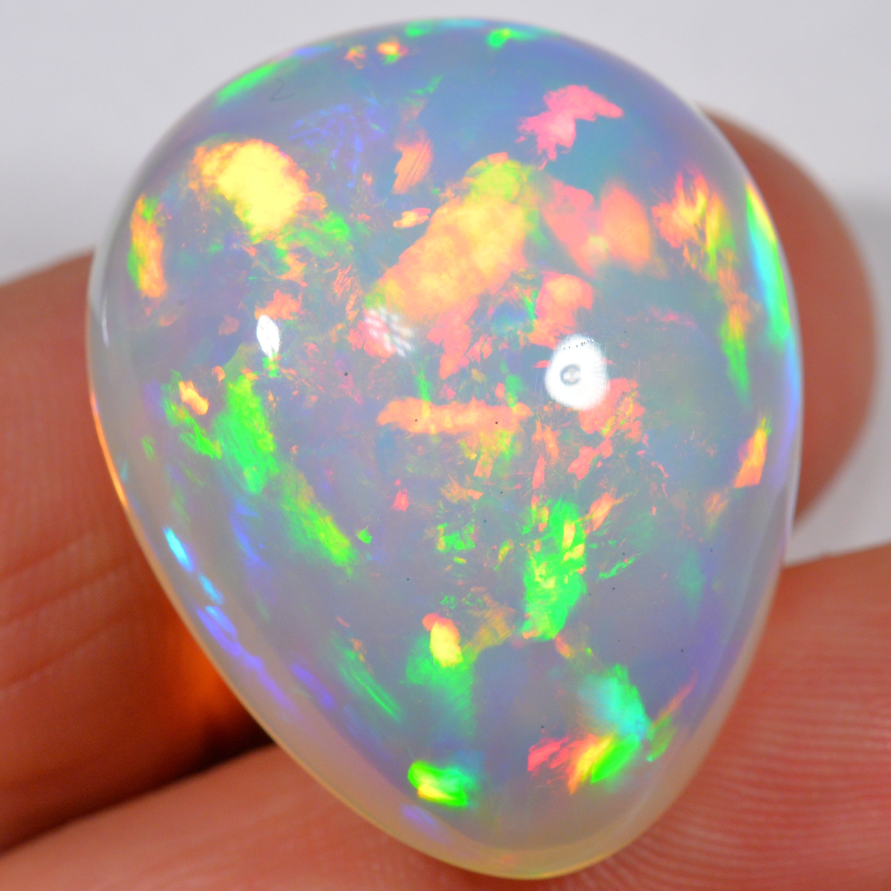 54.2 Karat - Wunderbarer risieger Welo Opal - DeinOpal