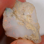 65.5 Karat - Roher Äthiopischer Welo Opal – natürlicher äthiopischer Welo Opal