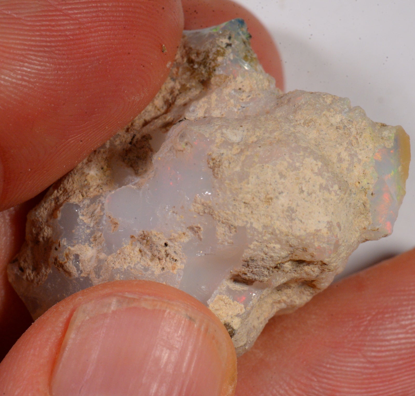 65.5 Karat - Roher Äthiopischer Welo Opal - DeinOpal