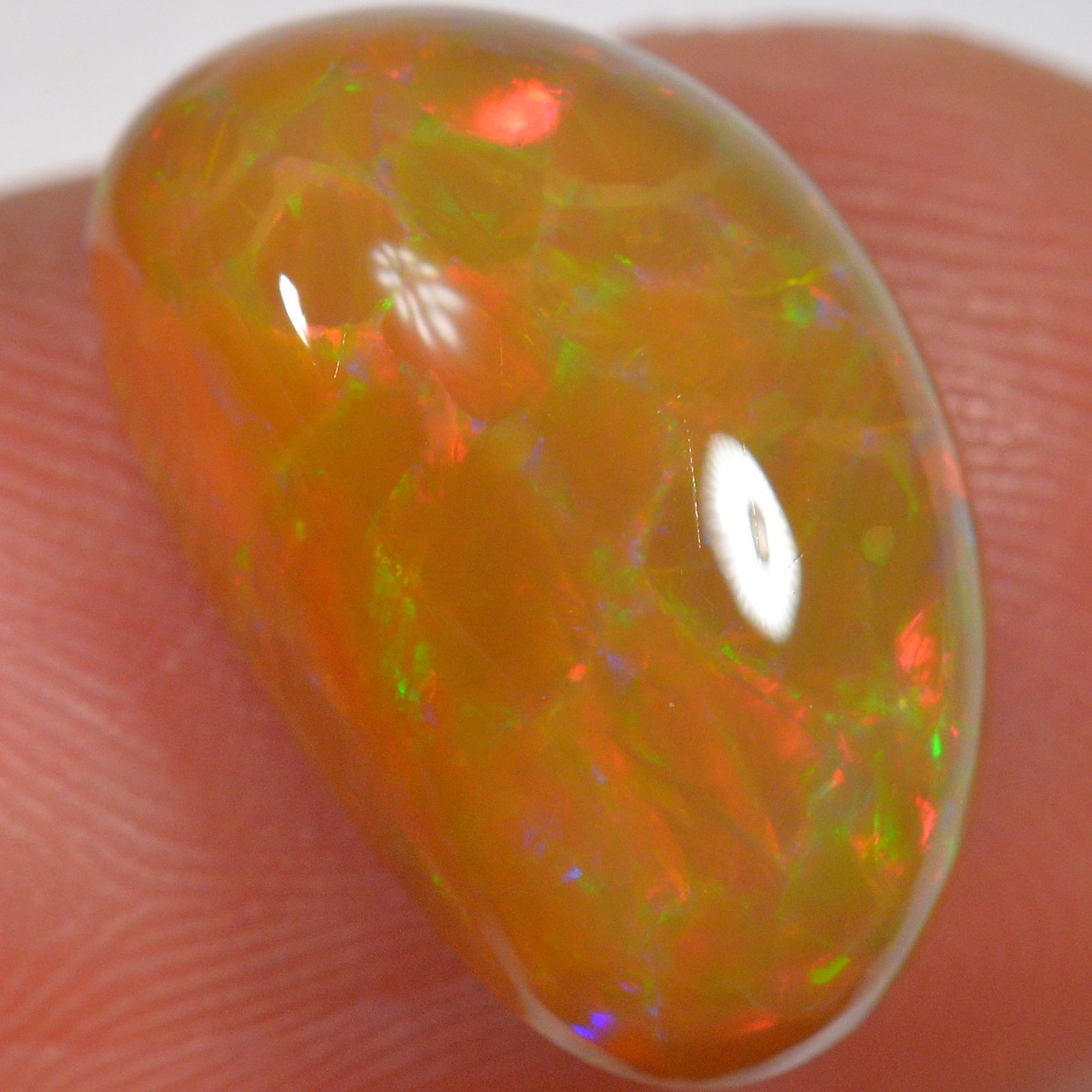 6.6 Carat - Brown Base Cell Pattern - Ethiopian Welo Opal — natural untreated Ethiopian Welo opal