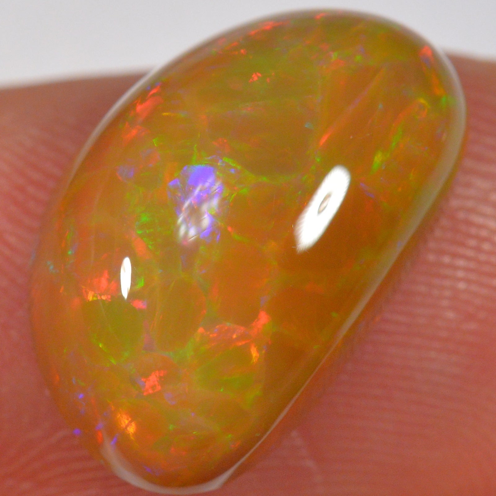 6.6 Karat - Brown Base Cell Pattern - Äthiopischer Welo Opal - DeinOpal