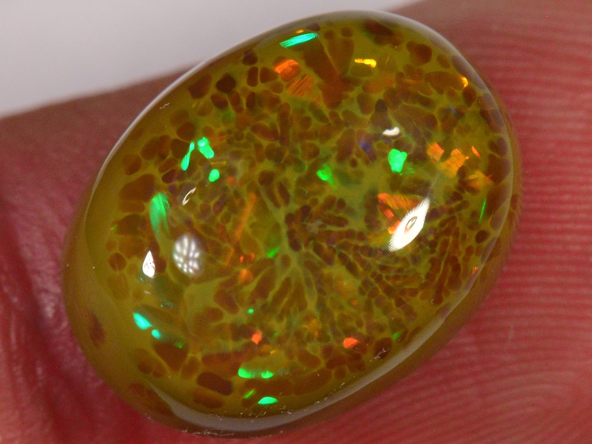 7.8 Karat - Seltener brauner Äthiopischer Welo Opal - DeinOpal