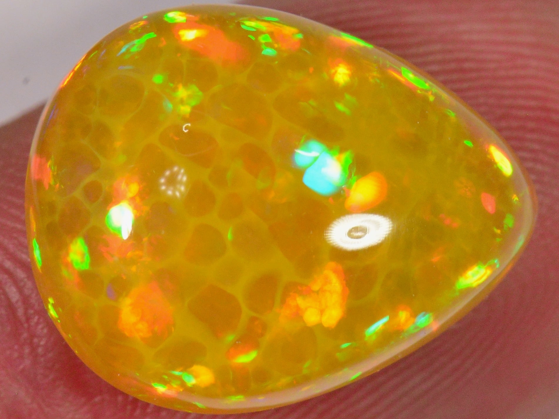 8.1 Karat - Seltener goldener Äthiopischer Welo Opal mit Wabenmuster - DeinOpal