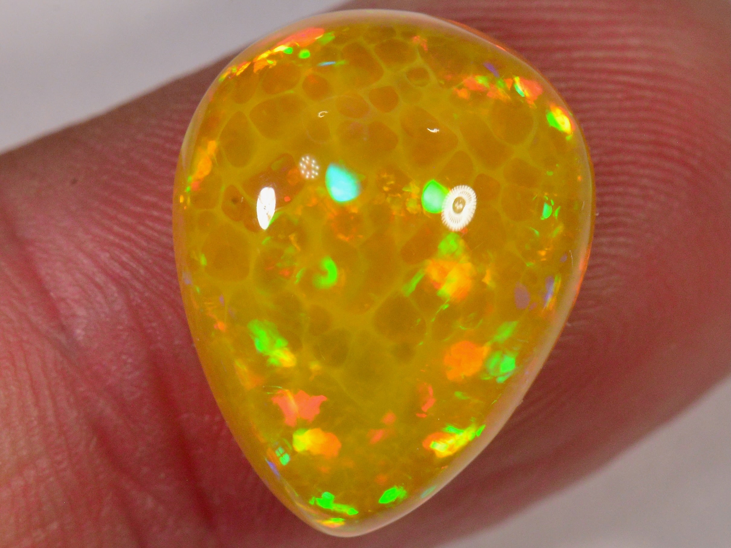 8.1 Karat - Seltener goldener Äthiopischer Welo Opal mit Wabenmuster - DeinOpal