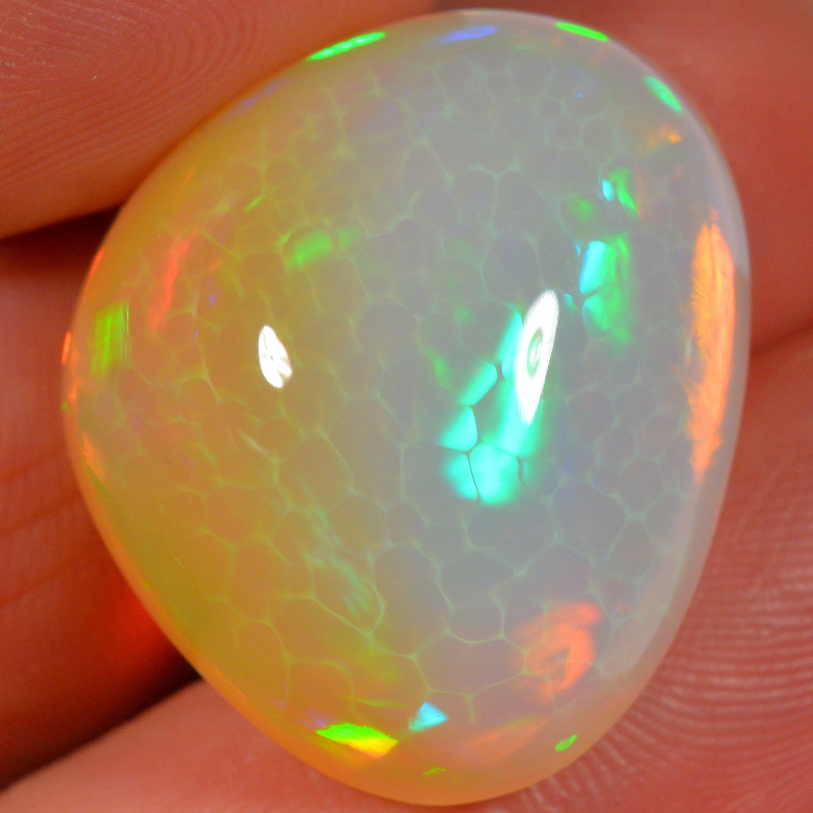 32.3 Karat - Äthiopischer Welo Opal - DeinOpal