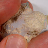 65.5 Karat - Roher Äthiopischer Welo Opal – natürlicher äthiopischer Welo Opal