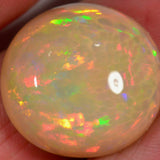 18.8 carat - Large Ethiopian Welo Opal with honeycomb pattern 