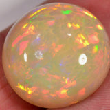 18.8 carat - Large Ethiopian Welo Opal with honeycomb pattern 