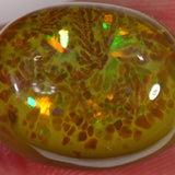 7.8 carats - Rare brown Ethiopian Welo Opal 