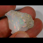 Slide image